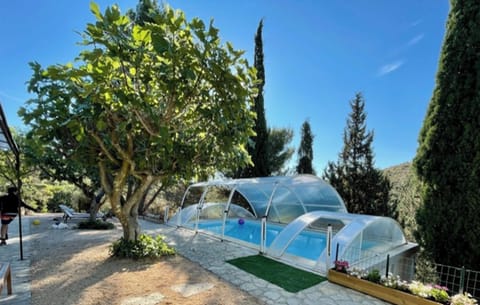 Swimming pool view