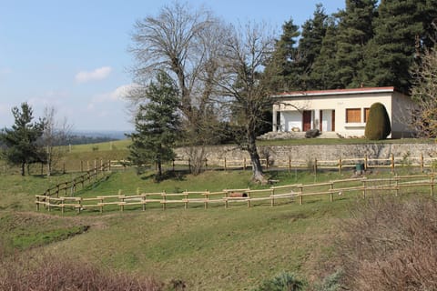 Front view