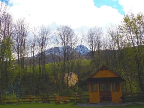 Mountain view