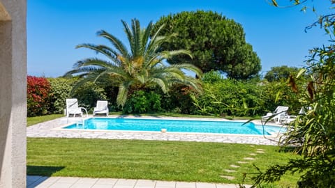 Swimming pool view