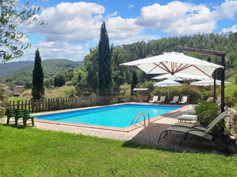 Swimming pool view