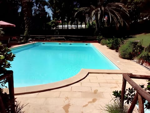 Swimming pool view