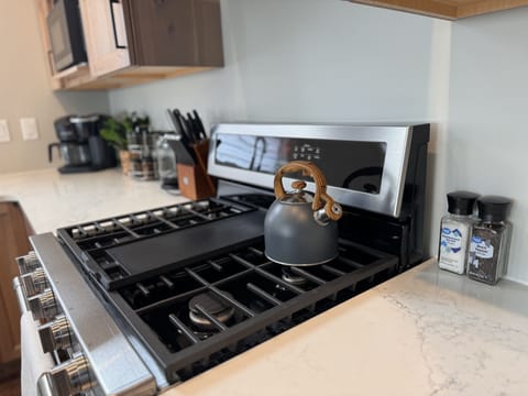 Northshore vacation rentals, Riverwest kitchen gas stove.