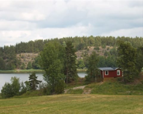 to the cottage