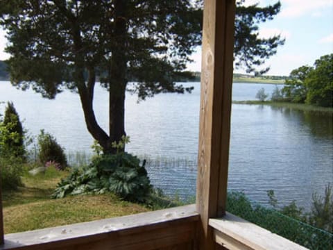 view from the terrace