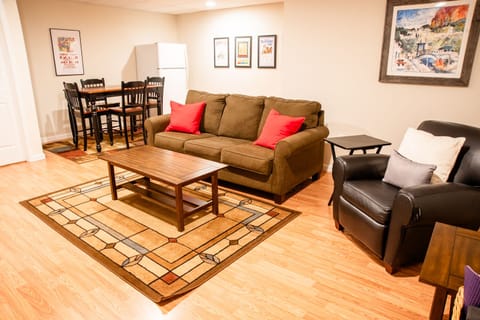 Basement living room