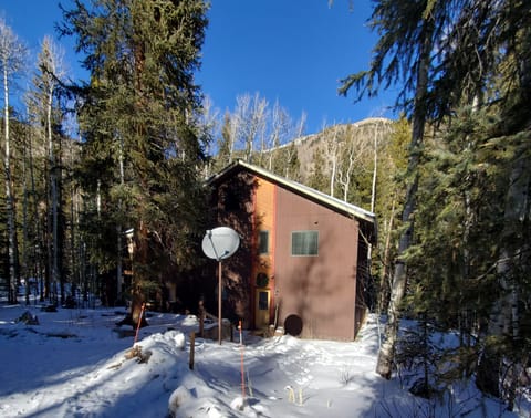 View from the driveway in December. Mt. Elbert's southern slope in background.