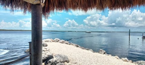 Community Tiki  Hut 🛖 and Fishing Pier