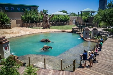 Make family memories with nearby wildlife experiences and sunny afternoons.