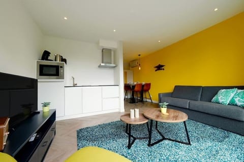 Living area with fully equipped kitchen and sofa-bed 