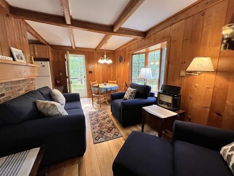 Livingroom and dining room view