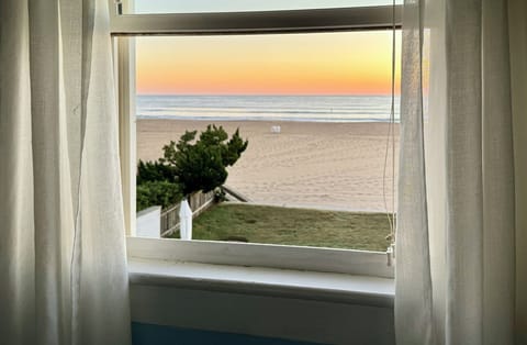 Ocean view