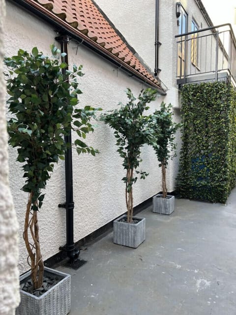 Outside The property