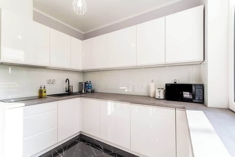 A close-up of the kitchen corner, highlighting the black countertop and white cabinets for a stylish contrast.

