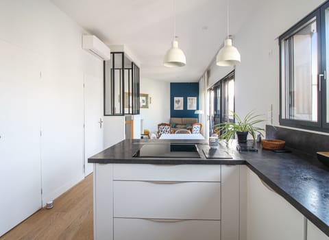 Cuisne ouverte sur pièce de vie