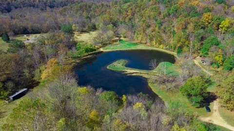 Aerial view of the Land
