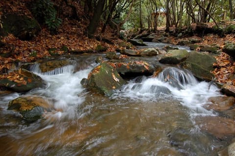 White water creek at your doorstep