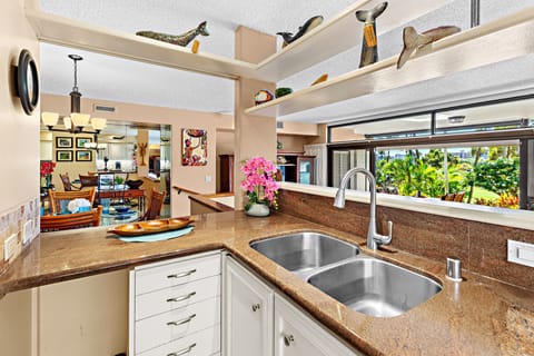 With double tub kitchen sink