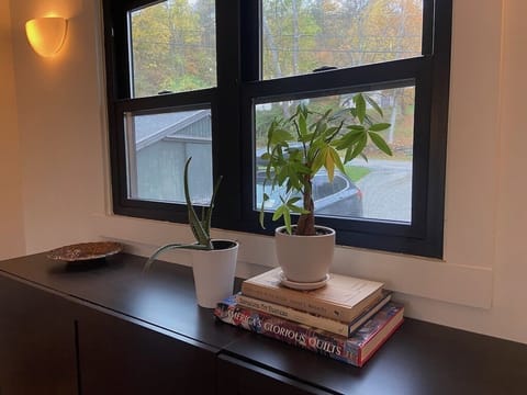 Front yard view from the main dining room