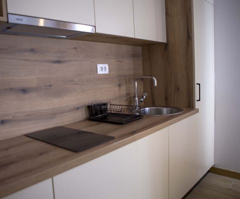 The fully equipped kitchen