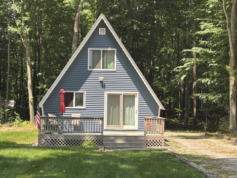 Peaceful sunny yard!