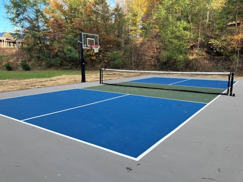Pickleball Court and basketball hoop to enjoy and have some fun!