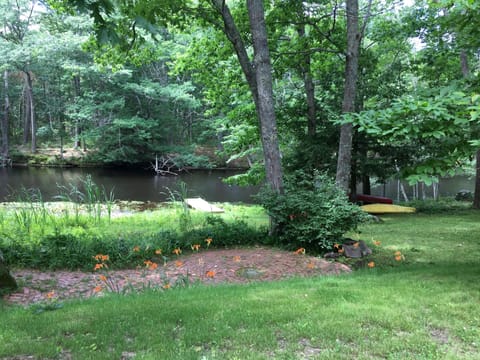 Enjoy lots of bird watching from your patio and picture window view.