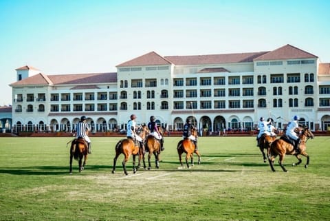 Learn about our polo club: https://www.poloclubdubai.com/polo/