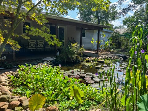 The backyard has a 3000 gallon koi pond with 3 waterfalls.