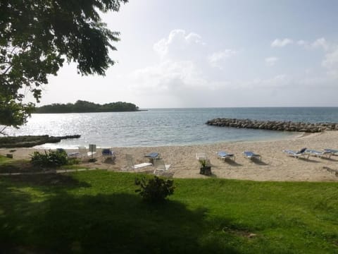 Main Beach