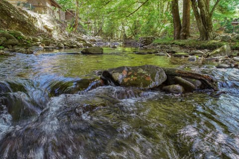 Creek Heaven Creek