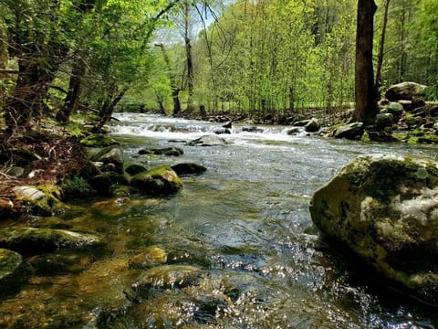 Cosby Creek