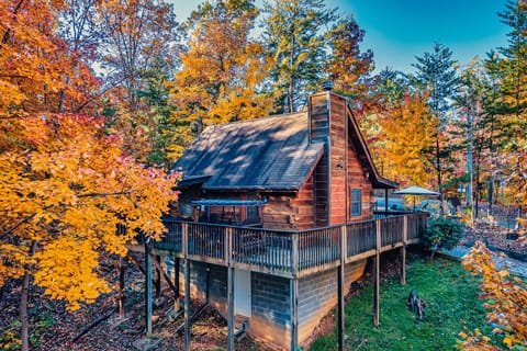 Beary Tale's enchanting rear view, cozily tucked between autumn leaves.