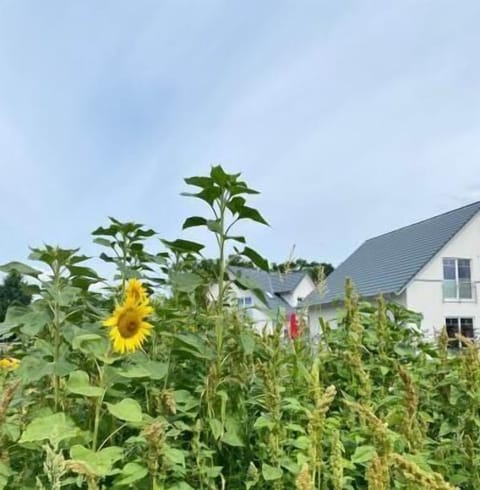 External view of the building