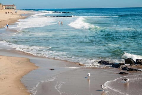 Escape to nearby shores for breezy walks and ocean views.