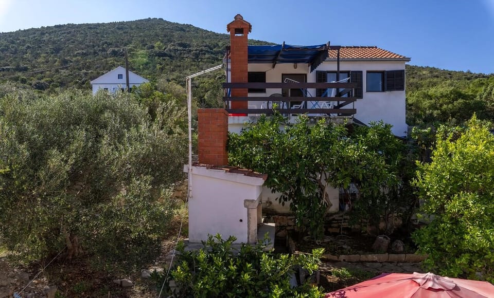 image/jpeg
