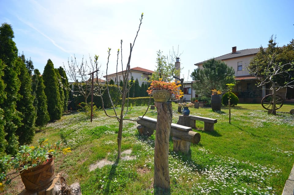 image/jpeg