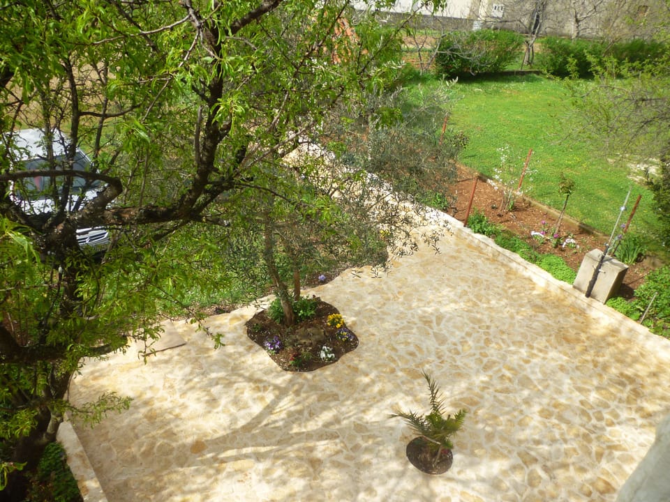 image/jpeg