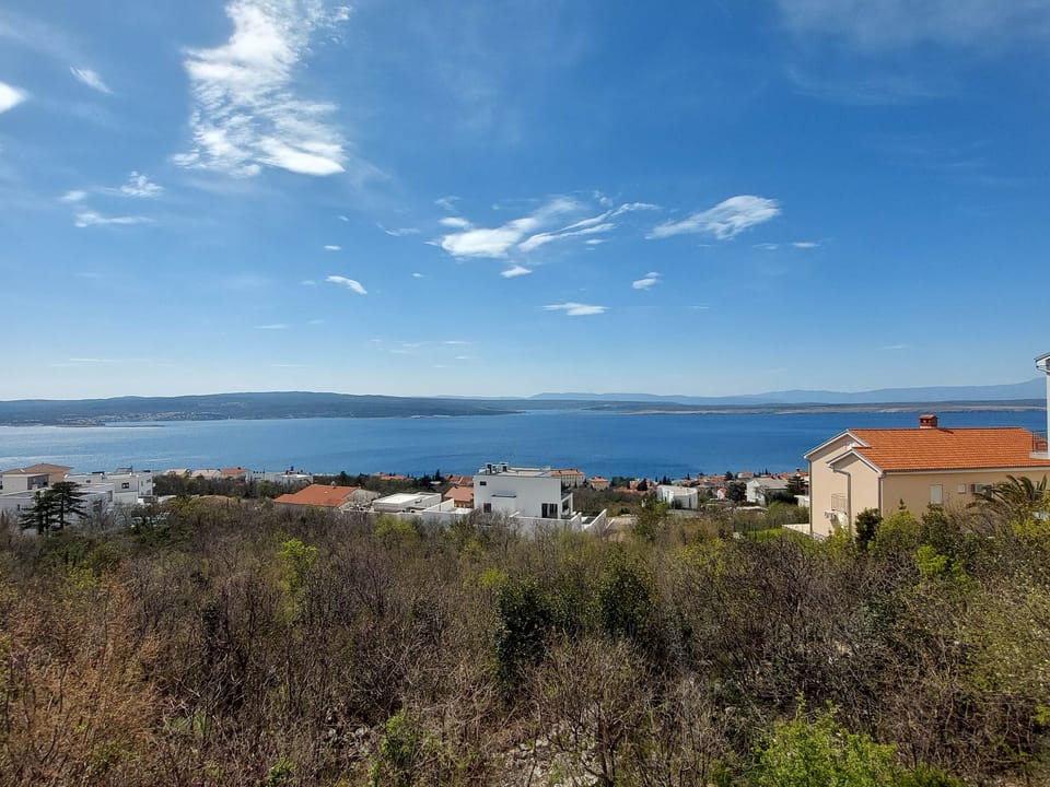 image/jpeg