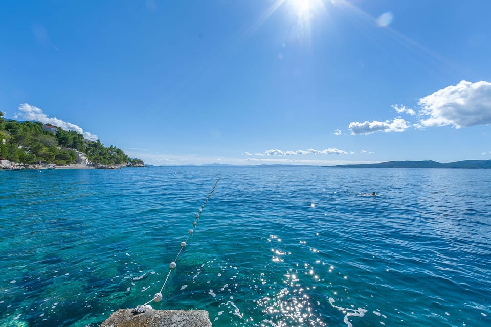 image/jpeg