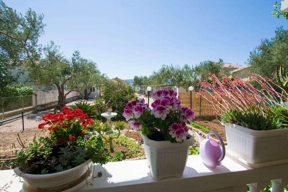 garden