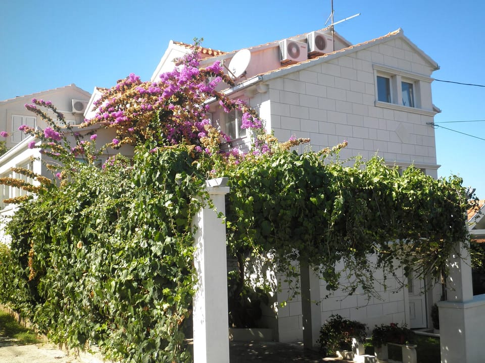 image/jpeg