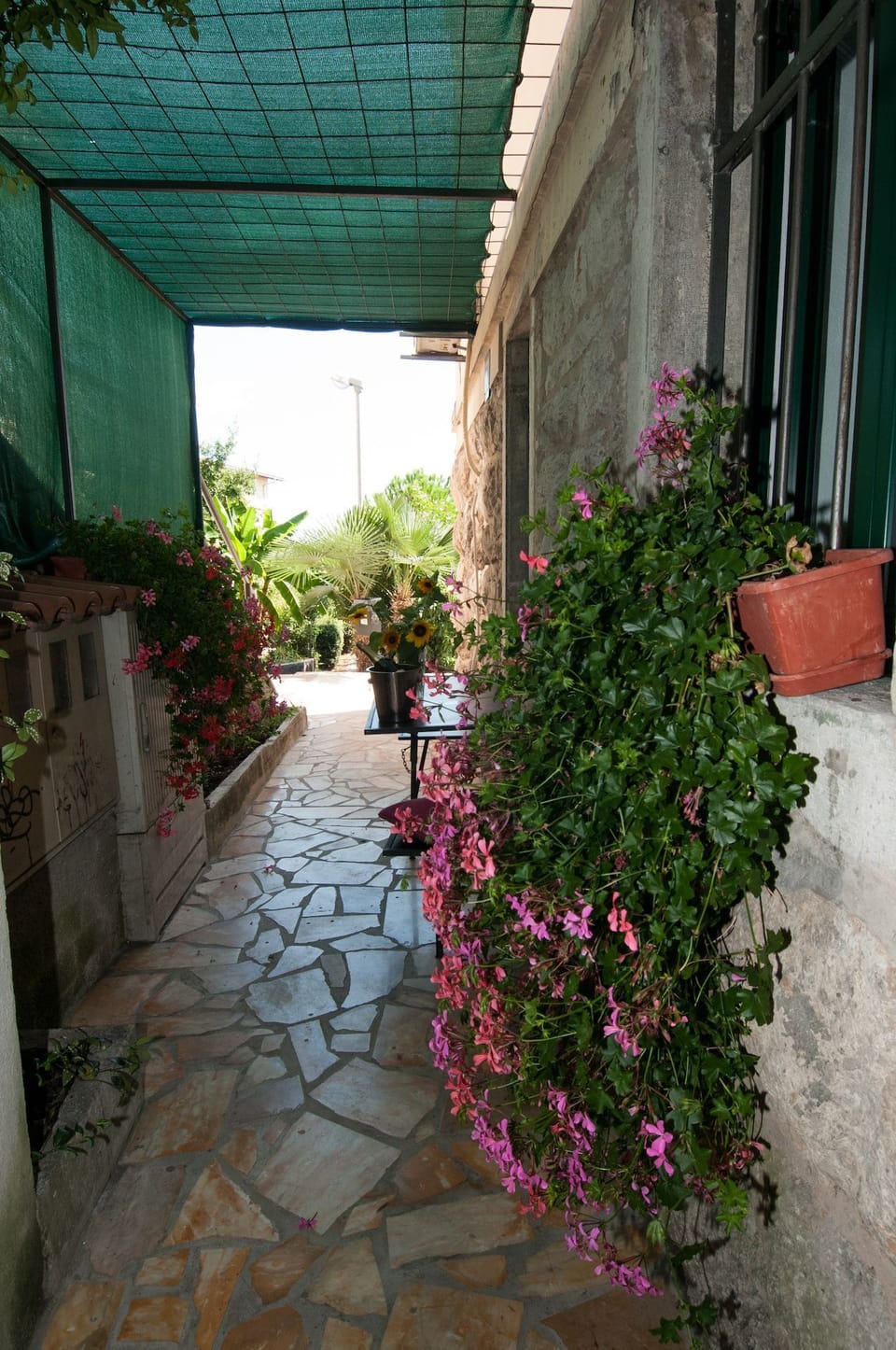 terrace