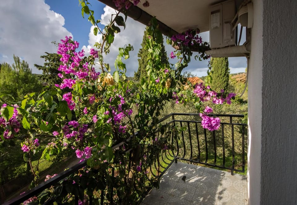 terrace
