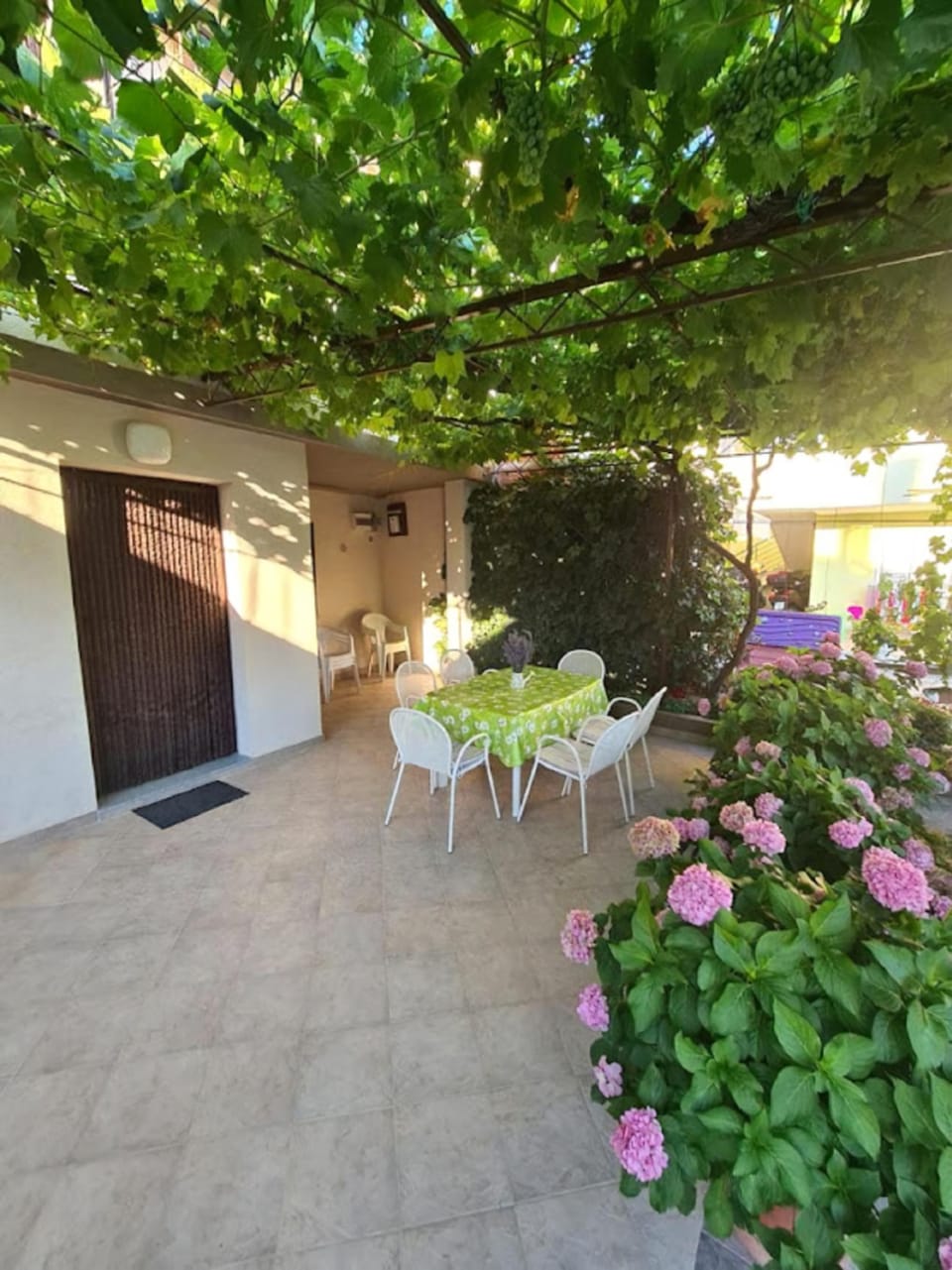 terrace