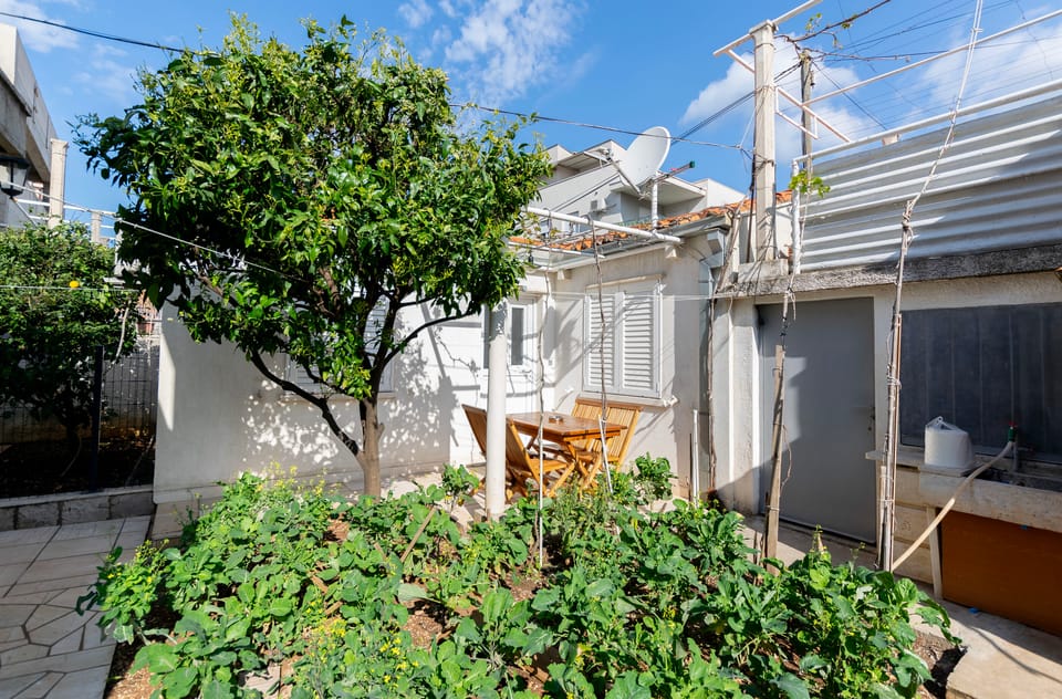 garden