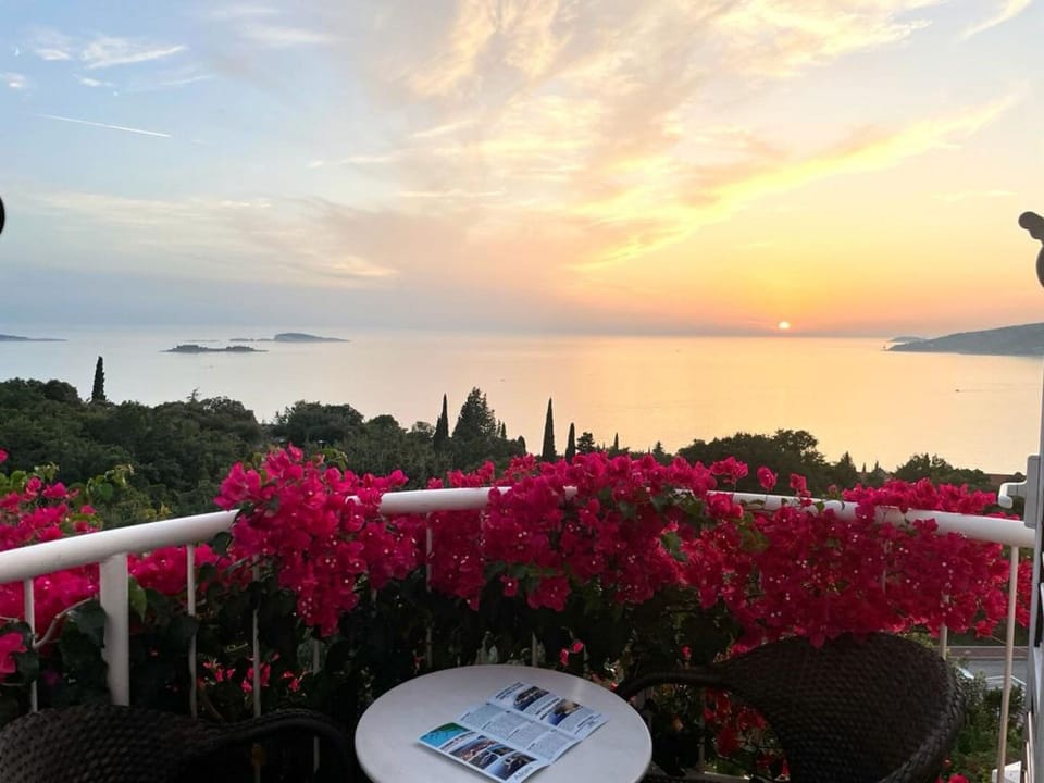 Apartments and Rooms Villa Bouganvillea Apartment in Plat