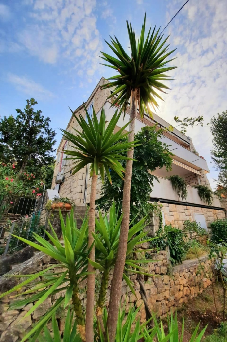 garden
