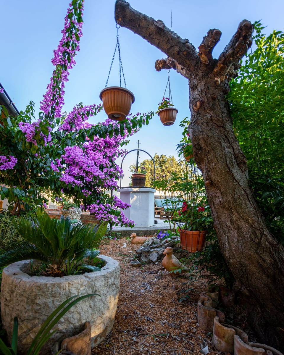 garden
