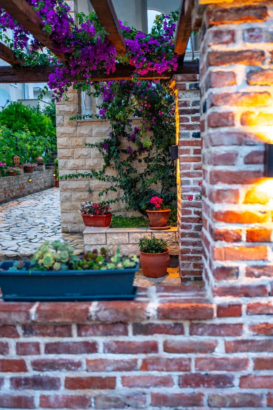 garden